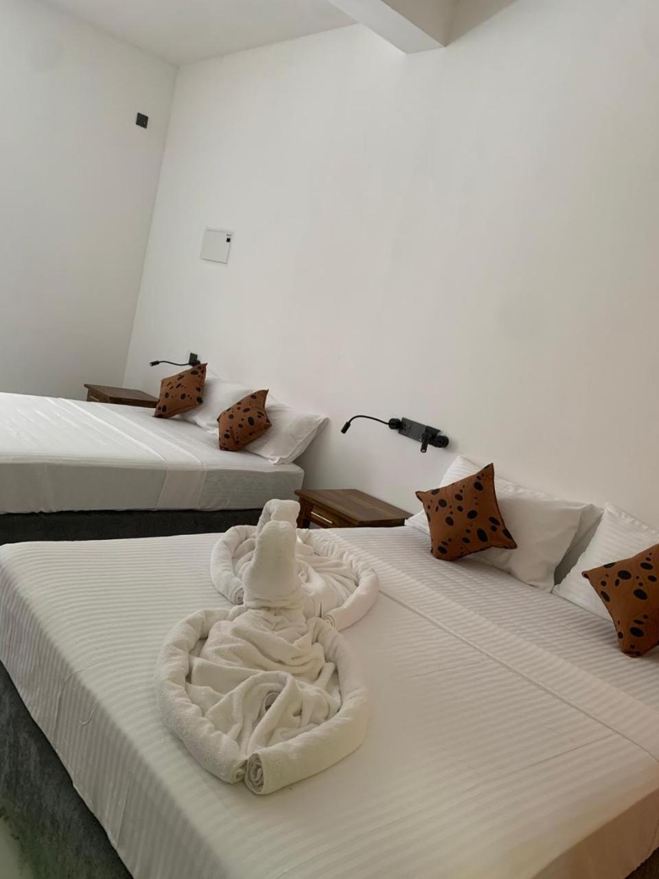 Malindu Yala Gate Hotel Tissamaharama Ngoại thất bức ảnh